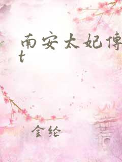 南安太妃传txt