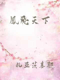 凤飞天下