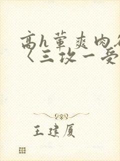 高h荤爽肉欲文〈三攻一受