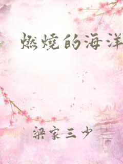 燃烧的海洋下载