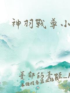 神羽战尊小说