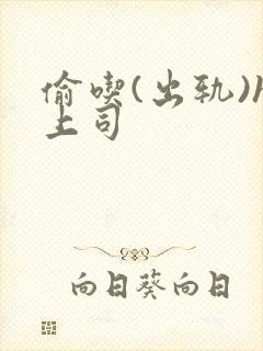 偷吃(出轨)h上司