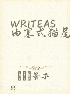 WRITEAS内塞式猫尾