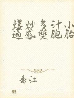 爆炒多汁小美人通感双胞胎