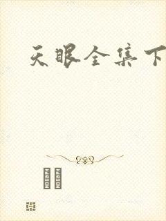 天眼全集下载