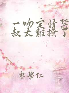 一吻定情禁欲小叔太难撩了