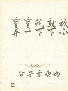 宝宝我就放进去弄一下下小说