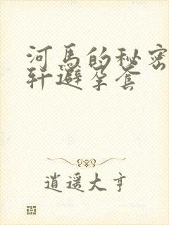 河马的秘密河文轩避孕套