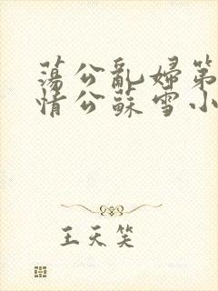 荡公乱妇第1章情公苏雪小说