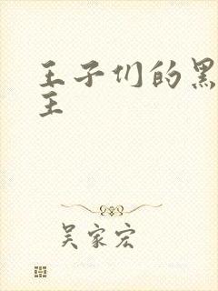 王子们的黑道公主