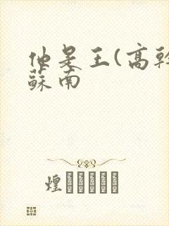 他是王(高干)苏南