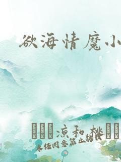 欲海情魔小说