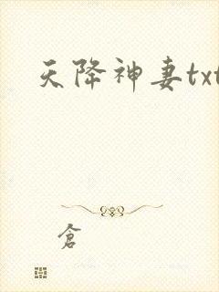 天降神妻txt