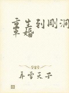 重生到刚洞房的军婚