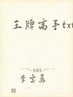 王牌高手txt