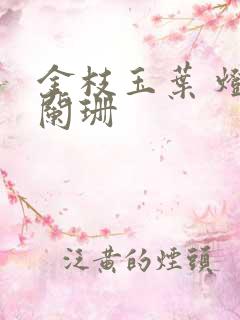 金枝玉叶 灯火阑珊