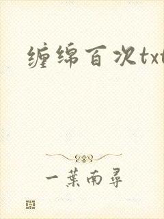 缠绵百次txt