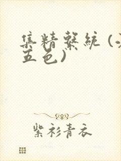 集精系统 (江五色)