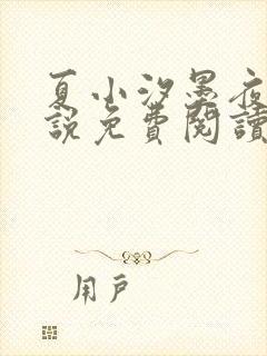 夏小汐墨夜霆小说免费阅读