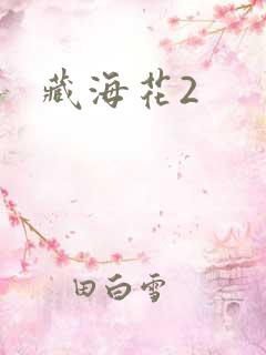 藏海花2