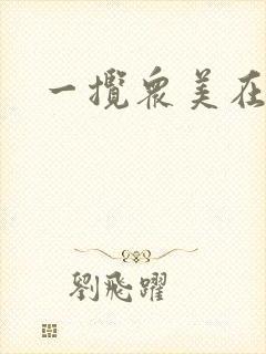 一揽众美在三国