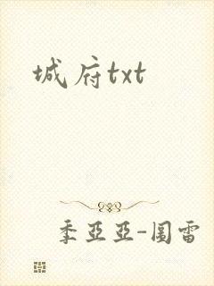 城府txt