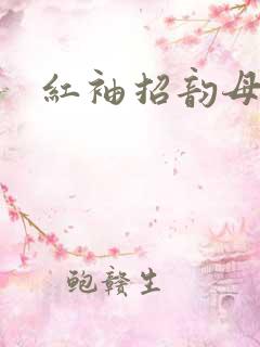 红袖招韵母攻略