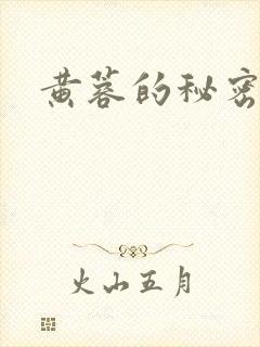 黄蓉的秘密