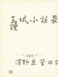 王城小说最近阅读