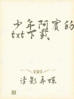 少年阿宾的故事txt下载