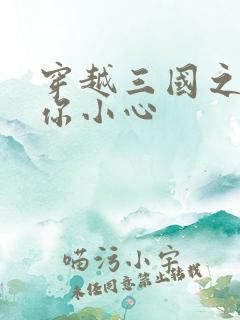 穿越三国之孔明你小心