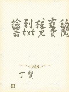 捡到校霸的遥控器txt免费阅读