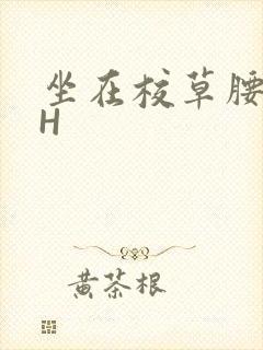坐在校草腰上动H
