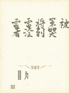 雷电将军被旅行者淦到哭