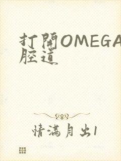 打开OMEGA腔道