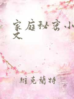 家庭秘密小说全文