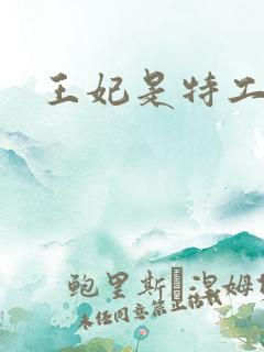 王妃是特工