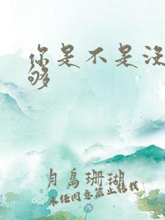 你是不是没被C够