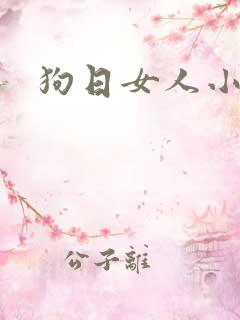 狗日女人小说