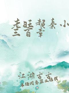 老旺超秦小雨第三百章