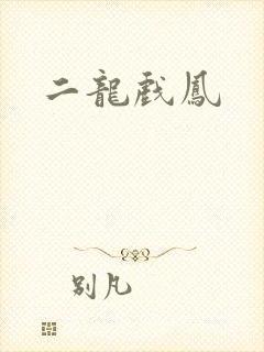 二龙戏凤