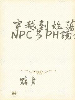 穿越到姓荡游戏NPC多PH镜姬