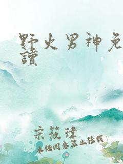 野火男神免费阅读
