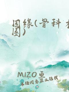 因缘(骨科 校园)