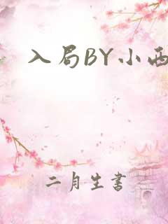 入局BY小西