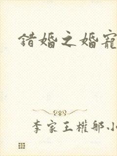 错婚之婚宠一世