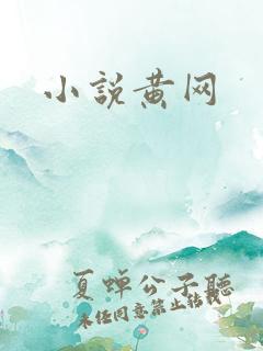 小说黄网