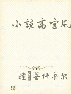 小说高官风流