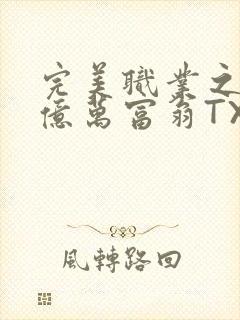 完美职业之我是亿万富翁TXT