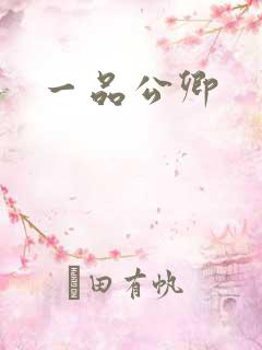 一品公卿